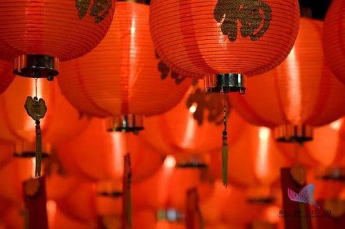 吃瓜小年,揭秘娱乐圈幕后故事